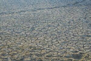 Photo of dry soil texture in the dry season, suitable for background