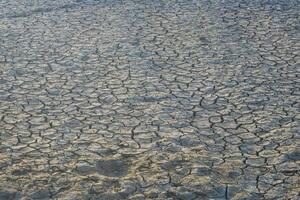 Photo of dry soil texture in the dry season, suitable for background