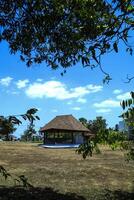 This photo of a modern garden and gazebo is suitable for collection