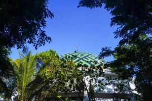 view of the mosque's dome among shady trees, against a blue sky photo