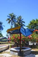 garden view with green grass and gazebo during the day with a blue background photo