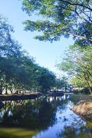 views of the river and shady trees that cast shadows on the water, on a sunny day photo