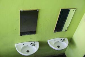 view of two wash basins on a green wall photo