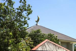 view of the mosque's dome among shady trees, against a blue sky photo