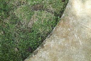 the texture of the floor, walls and green grass, is suitable as a design background photo