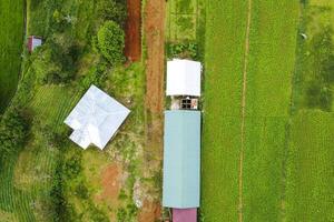 panorama of rice fields, gardens and houses in the countryside photo