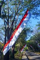 The red and white flag of the Indonesian flag flies against a backdrop of blue sky and trees photo