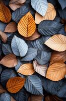 Fallen leaves in shades of orange and gray scattered on the ground during autumn photo