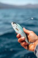 Fishing Off The Coast With A Rod In Hand Under Clear Skies photo