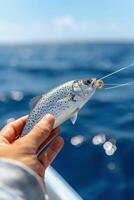 Fishing Off The Coast With A Rod In Hand Under Clear Skies photo