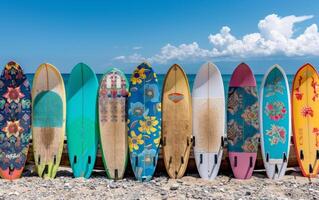 Colorful Surfboards Lined Up on Pebbly Beach Under Sunny Sky in Coastal Location photo