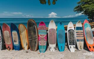 Colorful Surfboards Lined Up on Pebbly Beach Under Sunny Sky in Coastal Location photo