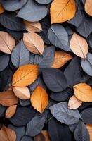 Fallen leaves in shades of orange and gray scattered on the ground during autumn photo