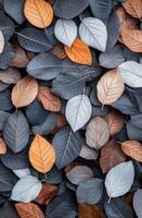 Fallen leaves in shades of orange and gray scattered on the ground during autumn photo