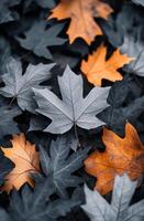 Fallen leaves in shades of orange and gray scattered on the ground during autumn photo