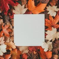 Blank square paper surrounded by vibrant autumn leaves in a warm seasonal arrangement photo