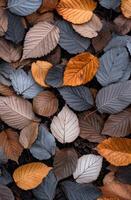 Colorful autumn leaves scattered on the ground during a sunny day in a forest photo