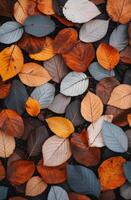 Colorful autumn leaves scattered on the ground during a sunny day in a forest photo