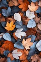 Colorful autumn leaves scattered on the ground during a sunny day in a forest photo