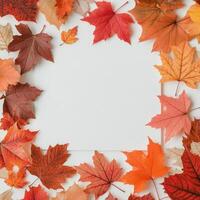 Colorful autumn leaves arranged in a circular pattern on a white background photo