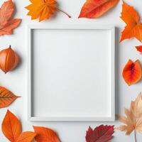 Colorful autumn leaves arranged in a circular pattern on a white background photo