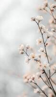 Delicate white blossoms arranged on a light background for spring decor photo