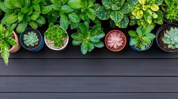 Indoor plants arranged neatly on a wooden table in natural lighting photo