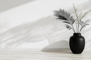 Sunlight casting shadows on a potted palm plant in a modern interior space photo