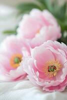 Fresh bouquet of pink peonies in a sunlit room with soft background photo