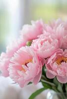 Fresh bouquet of pink peonies in a sunlit room with soft background photo