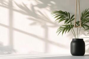 Sunlight casting shadows on a potted palm plant in a modern interior space photo