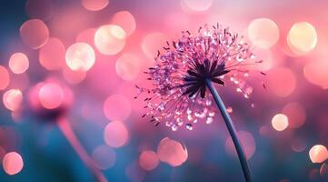 A stunning closeup of a captivating flower complemented by soft bokeh lights, skillfully creating a dreamy atmosphere photo