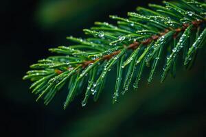 A visually striking closeup of a beautiful pine branch, adorned with glistening and sparkling dew drops, showcases the stunning beauty of natures intricate details in a captivating way photo
