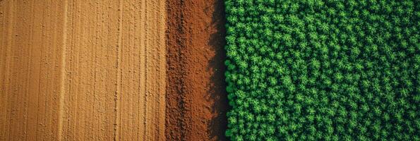 An expansive aerial view beautifully showcases vibrant green crops alongside freshly plowed earth, revealing intricate agricultural textures and stunning natural patterns that nature has created photo