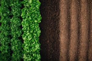 An expansive aerial view showcasing an array of vibrant green crops alongside freshly plowed farmland, beautifully highlighting modern agricultural practices and the rich diversity of the landscape photo