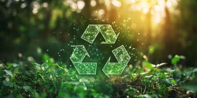 Explore the importance of recycling and reusing resources to create a healthier planet for future generations. Join the global movement for sustainable living and environmental conservation photo