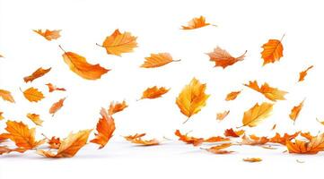 A beautifully serene and captivating display of vibrant autumn leaves gracefully floating and drifting against a clean white backdrop, skillfully capturing the true essence of the fall season photo