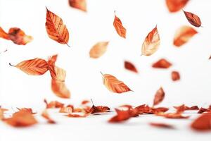 As autumn leaves float through the cool air, they create a serene atmosphere. This scene captures the essence of fall with rich colors and textures, enhancing our seasonal experience photo