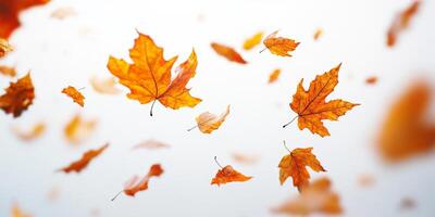 A beautifully serene image showcasing autumn leaves gently floating in the breeze, set against a pristine white background, perfectly capturing the essence and vibrant beauty of the fall season photo
