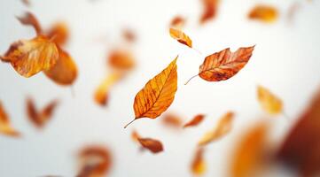 A serene and picturesque collection of autumn leaves gently floating and dancing against a pure white backdrop, beautifully capturing the essence of falls unique beauty and perfect tranquility photo