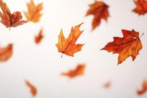 A beautifully serene image showcasing autumn leaves as they gently float against a pristine white background, perfectly capturing the true essence and beauty of the fall season in all its glory photo
