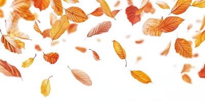 A whimsical and enchanting scene of autumn leaves gracefully floating down against a pure white background, perfectly capturing the true essence and beauty of the fall seasons charm photo