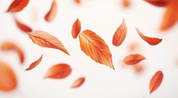 Beautiful autumn leaves gently floating down against a soft white background, delicately capturing the true essence of fall and showcasing natures vibrant and rich colors throughout the season photo