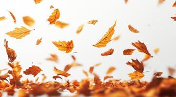 A stunning visual of autumn leaves gently floating against a white background, capturing the essence of fall and natures beauty photo