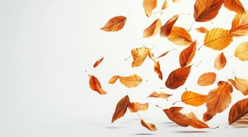 A serene and beautiful display of vibrant autumn leaves gracefully floating against a crisp white backdrop, perfectly capturing the wonderful essence and charm of the delightful fall season photo