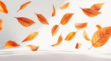 A serene and beautiful display of autumn leaves gracefully floating against a pure white background, perfectly capturing the essence of the vibrant colors and the tranquil beauty of falls season photo