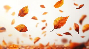 The beautiful autumn leaves, with their vibrant colors, are gracefully floating down against a soft, white backdrop, which creates a serene and tranquil atmosphere that is truly captivating photo