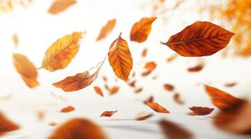 A breathtaking and beautiful collection of vibrant autumn leaves elegantly floating against a pristine white background, perfectly capturing the true essence of the fall seasons charm and beauty photo