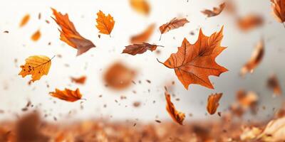 A stunningly beautiful display of vibrant autumn leaves gently and gracefully floating against a soft, pure white background, perfectly capturing the true essence of the fall season photo