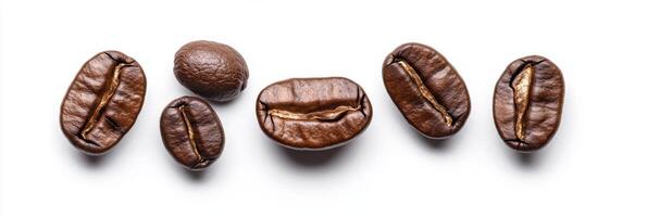 A stunningly arranged display of coffee beans that provides plenty of copy space, making it perfect for promoting coffeerelated content, advertisements, or social media posts about coffee photo
